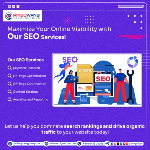 Best SEO Services & Solutions Company in India - Amigoways