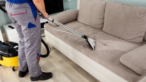 The Best Tools for Cleaning Your Couch