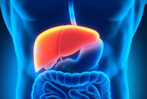 Liver Detox: Understanding the Importance of Cleansing Your Vital Organ