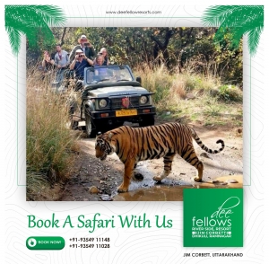Jim Corbett Jungle Safari Online Booking: Your Ultimate Guide
