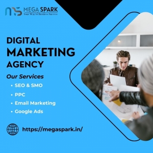 Best Digital Marketing Company In Kashmiri Gate : Mega Spark