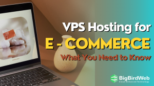VPS Hosting for E-commerce: What You Need to Know
