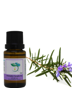 Aromatics Canada: Premium Moroccan Rosemary Organic Essential Oil