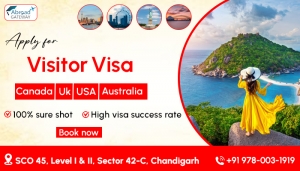 Benefits of Hiring Visitor Visa Consultants in Chandigarh