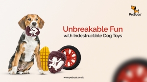 Unbreakable Fun with Indestructible Dog Toys