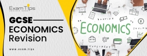 The Importance of Online Practice Papers in GCSE Economics Revision