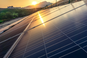 How Solar Aggregators Help Maximize Your Solar Investment in Maryland