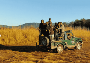 Discover the Thrill: Corbett Jeep Safari Adventures at Dee Fellow Resorts