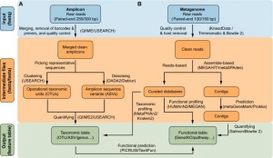 Metagenome Sequencing vs. Viral Amplicon Sequencing: Choosing Effective Sequencing Methods for Monitoring Viral Mutations