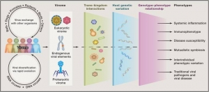 Viruses and Virome Sequencing