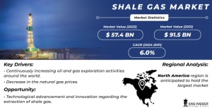 Shale Gas Market Size, Share, Segmentation and Future Scope Forecast by 2031