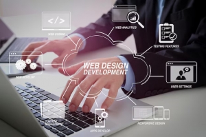 Elevate Your Brand with Professional Web Design Services from Bangalore's Best Company