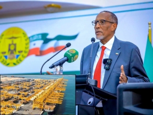 The Berbera Breakthrough: Somaliland's Ascent in the Horn of Africa