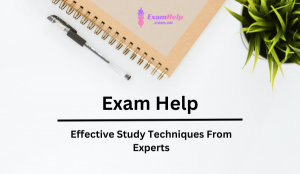 Exam Help: Effective Study Techniques By Experts