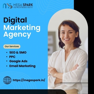 Mega Spark Is The Best Digital Marketing Firm In Kashmiri Gate