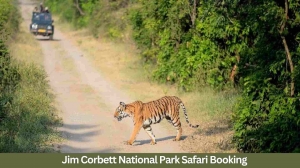 Unleash the Wild: The Ultimate Guide to Jim Corbett Jungle Safari Booking Online 