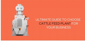 Cattle Feed Plant