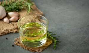 Rosemary oil manufacturer