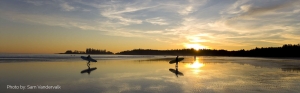Seaside Serenity: Vacation Rentals with Beaches Close By in Ucluelet and Tofino