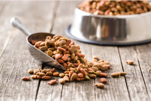 Navigating the World of Online Pet Food: A Comprehensive Guide to The Pet Pantry’s Offerings