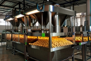 Banana Chips Manufacturing Plant Project Report 2024: Industry Trends and Unit Setup