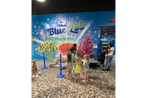 What to Do at an Interactive Aquarium Based on Age