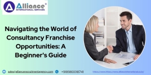 Navigating the World of Consultancy Franchise Opportunities: A Beginner's Guide