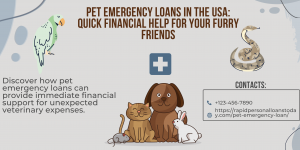 Pet Emergencies: Financial Aid and Support Options in the USA