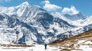 Annapurna Base Camp vs. Annapurna Circuit: Which Trek is Right for You?