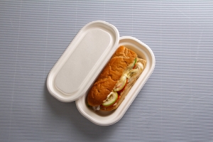 Bagasse Containers in the Hospitality Industry: A Case Study