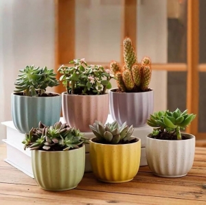 How to Choose the Perfect Indoor Planter Pots for Every Room | Krupex India