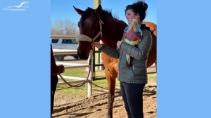 What Makes Equine Craniosacral Courses Unique in the USA?