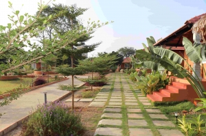 Escape to Nature's Embrace: Discover V Nature Resorts in Kanakapura 