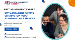 Best Assignment Experts: Offering Top-notch Assignment Help Services