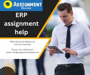 ERP assignment help