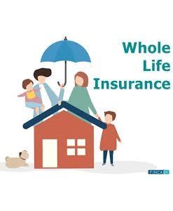 The Comprehensive Guide to Whole Life Insurance