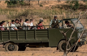 Exploring the Wilderness: Canter Safari in Jim Corbett