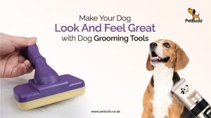 Make Your Dog Look And Feel Great with Dog Grooming Tools