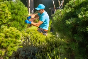 Why Commercial Landscape Maintenance Matters?