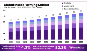 Insect Farming Market Restraints: Navigating Consumer Acceptance and Regulatory Issues