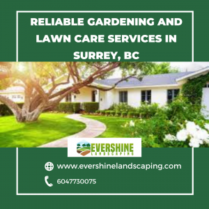 Reliable Gardening and Lawn Care Services in Surrey, BC