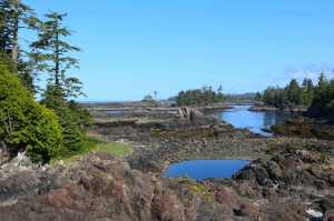Ultimate Coastal Retreats: Vacation Rentals in Ucluelet with Fishing Charters