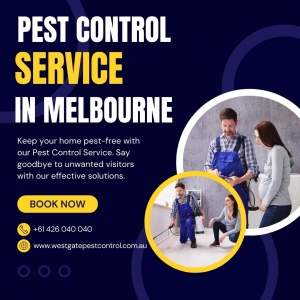 What are the best Comprehensive Pest Control Solutions in Melbourne?