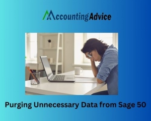 Purging Unnecessary Data from Sage 50