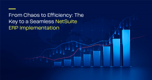 Empowering SMB Growth with OpenTeQ's NetSuite Customization