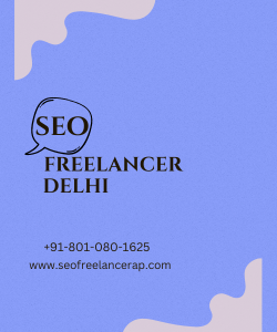 Why Hiring an SEO Freelancer in Delhi is the Best Choice for Your Business