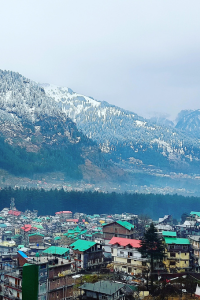 Exploring the Best of Himachal Pradesh: Manali and Shimla Tour Packages Combined