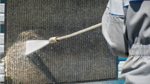 Can a Pressure Washer Really Clean Your Area Rug? Expert Opinions Revealed