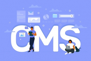 Best Headless CMS in 2024