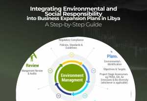 How to Successfully Enter the Libyan Market: Step-by-Step Guide